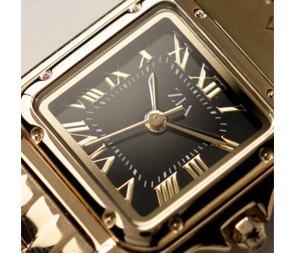 Zia Ladies watch Gold
